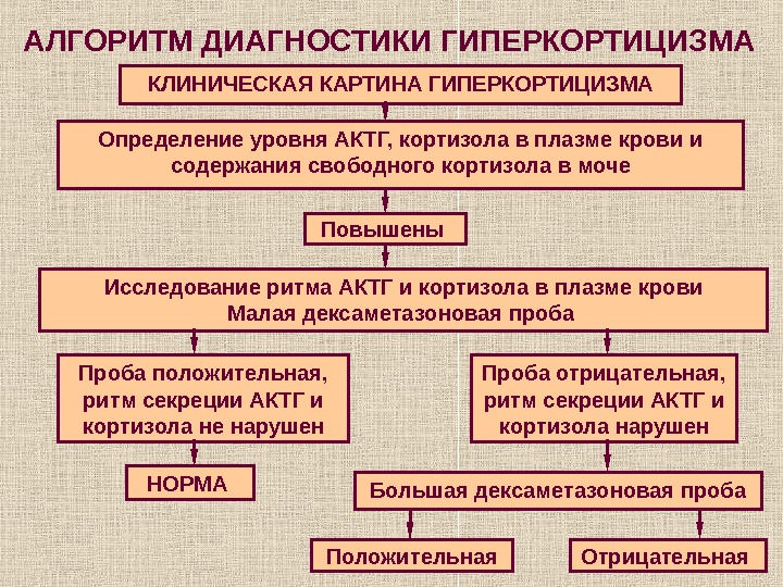 Патогенез гиперкортицизма схема