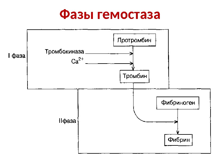 Схема гемостаза по этапам