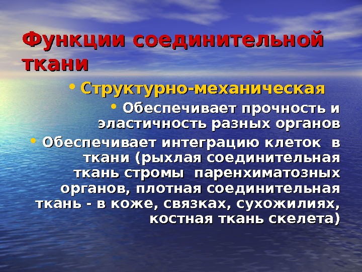 Обеспечивает прочность ткани. Транспортная функция соединительной ткани. Структурообразующая функция соединительной ткани. Обеспечивает прочность органов. Что обеспечивает механическую прочность соединительной ткани.