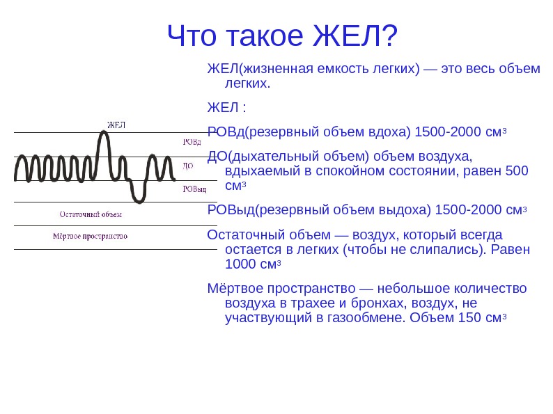 Жизненный объем легких. Жизненный объём лёгких. Жизненная ёмкость лёгких (жёл). Жел легких. Жёл объем легких.