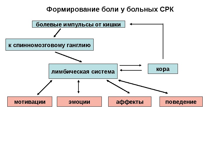 Печеночный болевой синдром презентация