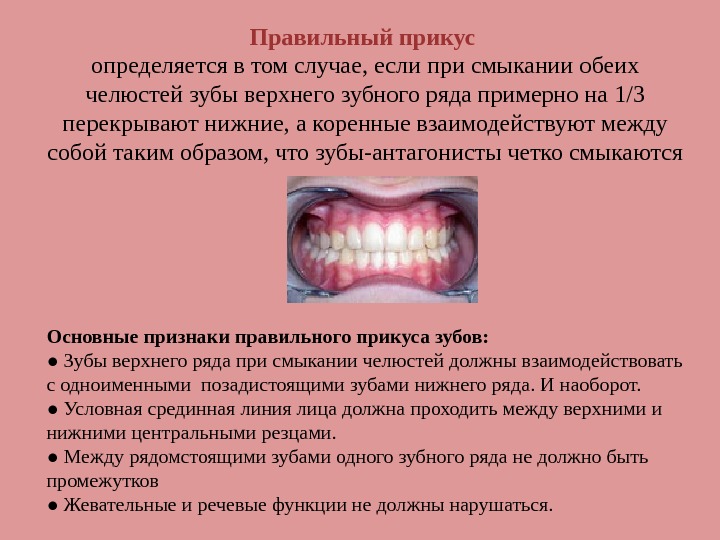 Зубы при закрытом рте. Правильный прикус. Правильный прикус зубов. Поавильныприкус. Правильный прикус у человека.
