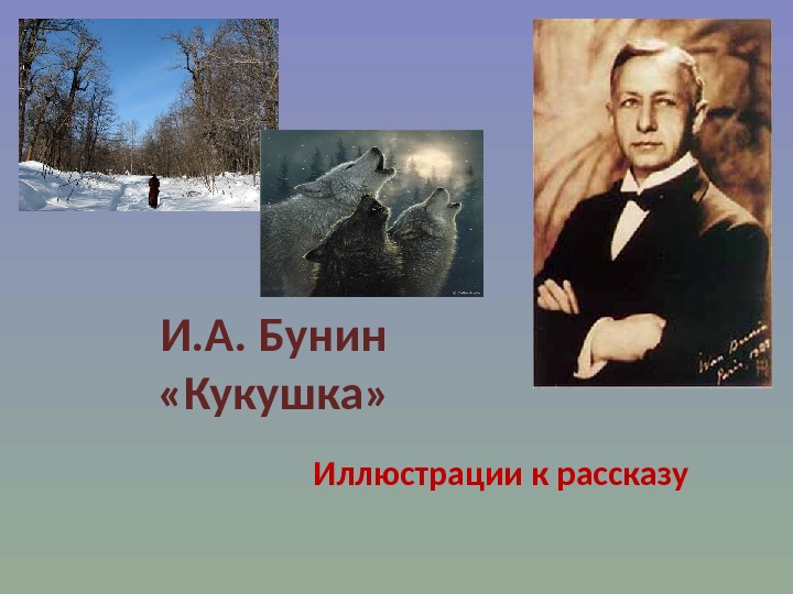 План рассказа кукушка бунин 7 класс