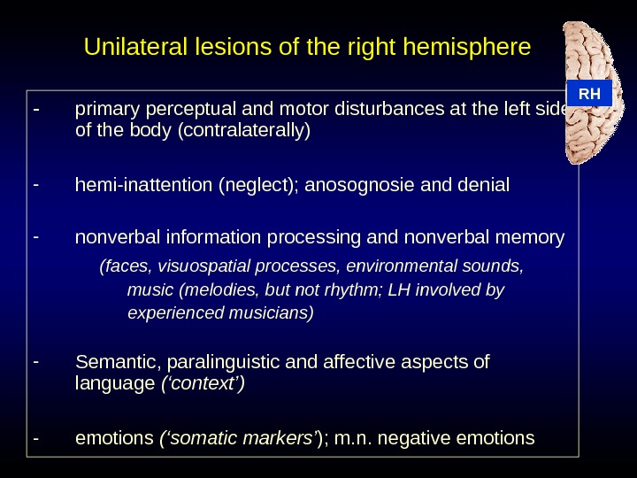 Cerebral Asymmetry And The Specific Functions Of The 3504