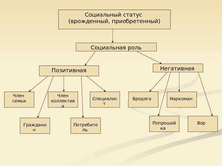 Заполните схему социальный статус