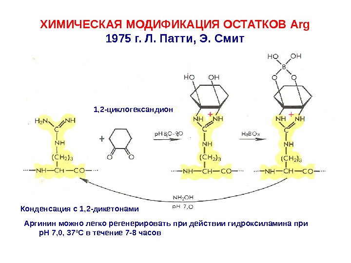 Химическая модификация