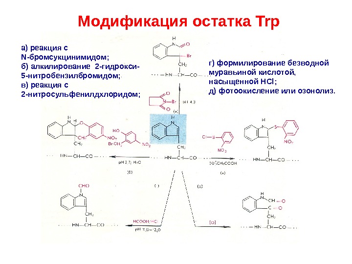 Химическая модификация. Алкилирование кислот. Алкилирование карбоновых кислот. Реакция на модификацию. Алкилирование мочевины.