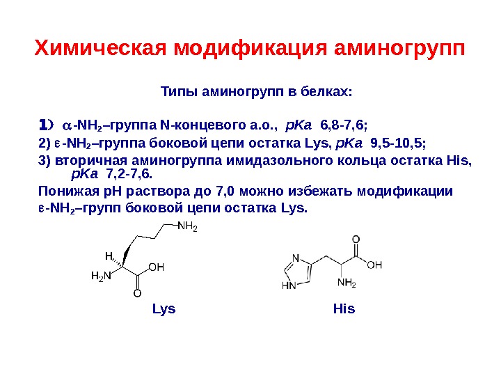 Химическая модификация