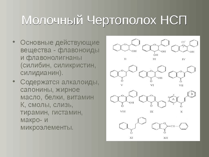 Молочный чертополох нсп картинки