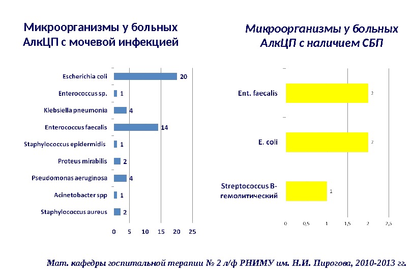 Основные группы микроорганизмов