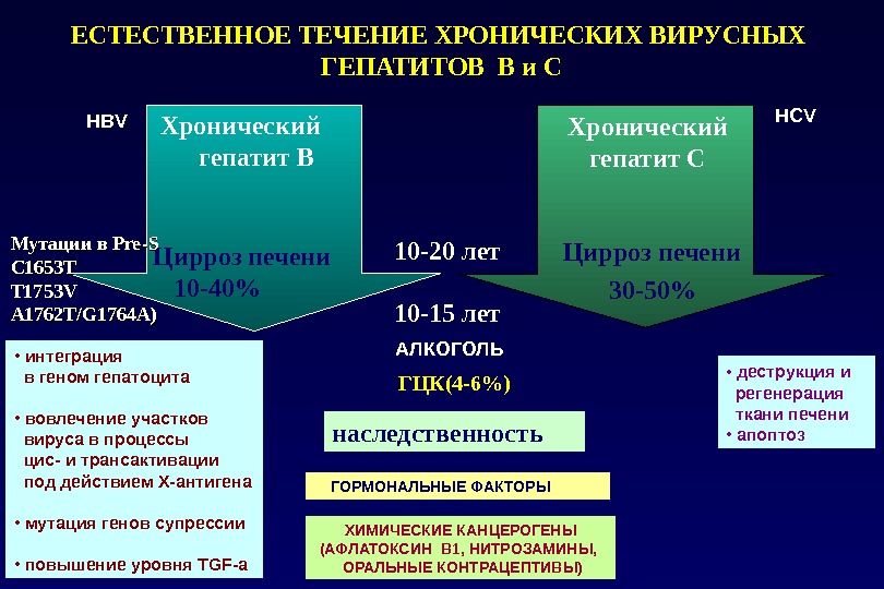 Периоды течения вирусных гепатитов. Естественное течение хронического гепатита в. Механизмы хронизации вирусного гепатита в. Исходы хронических вирусных гепатитов. Естественное течение вирусного гепатита в схема.