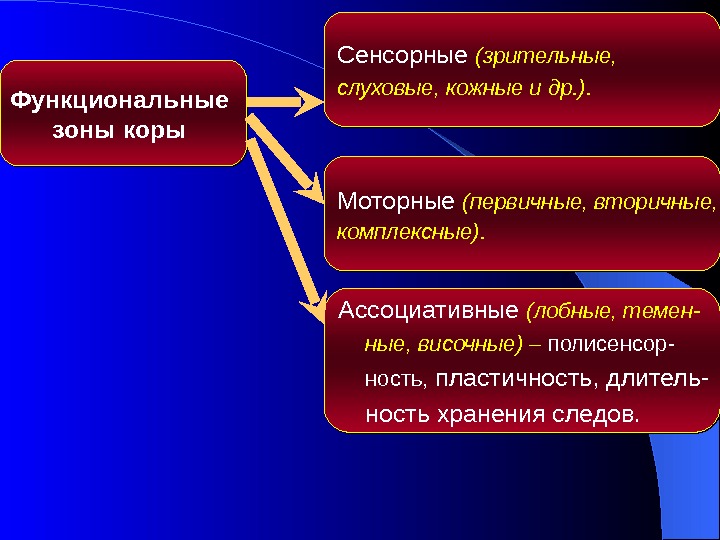 Обобщите и представьте в виде схемы или таблицы информацию о чувствительных двигательных и