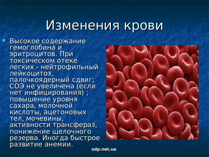 Эритроциты в крови у мужчин после 50. Повышено эгитроцитв и гемоглобина. Эритроциты в крови. Повышение эритроцитов и гемоглобина в крови. Повышенный гемоглобин и эритроциты.