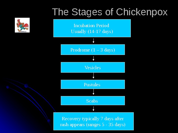 Common Pediatrics Infectious Diseases Dr. Owis khater