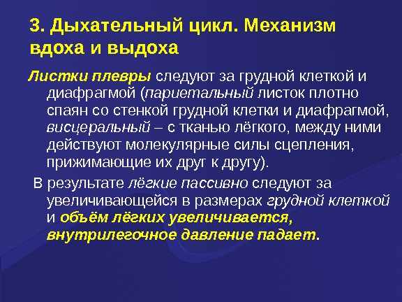 Дыхательный цикл