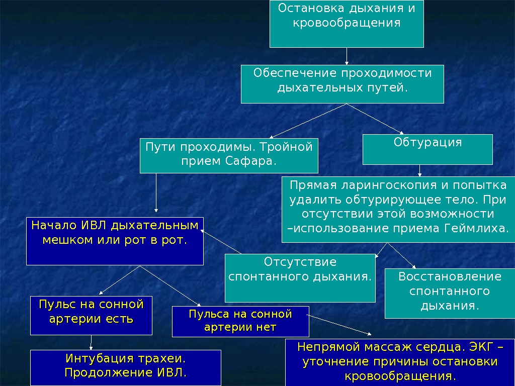 Первая помощь при отсутствии кровообращения презентация