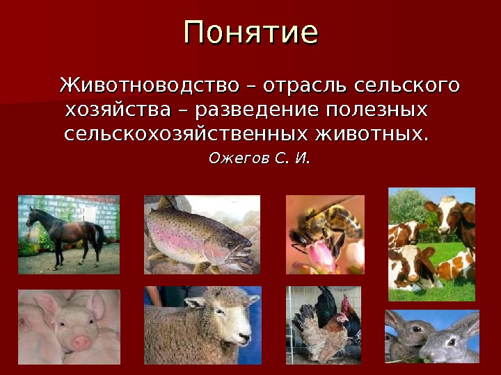 Презентация на тему животноводство 7 класс