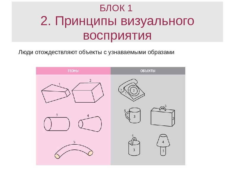 Основы графического рисунка проект