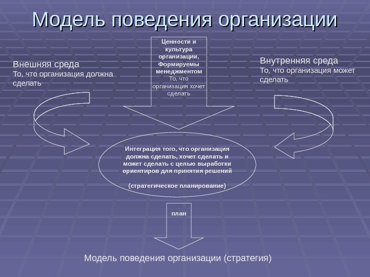 Организационное поведение презентация