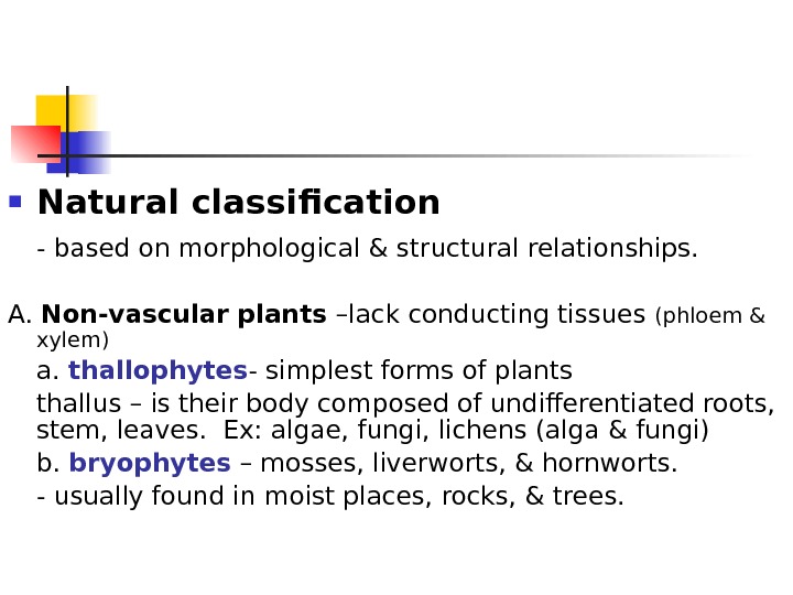 Diversity Of Plant Forms General Botany Classification 0592