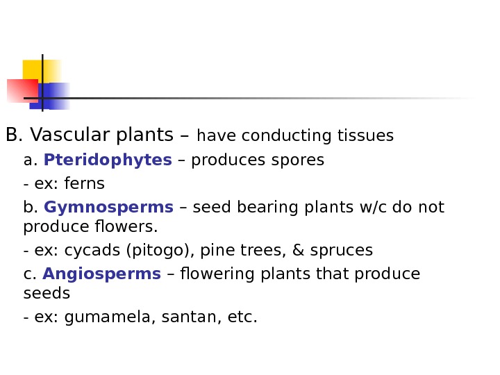 DIVERSITY OF PLANT FORMS General Botany Classification