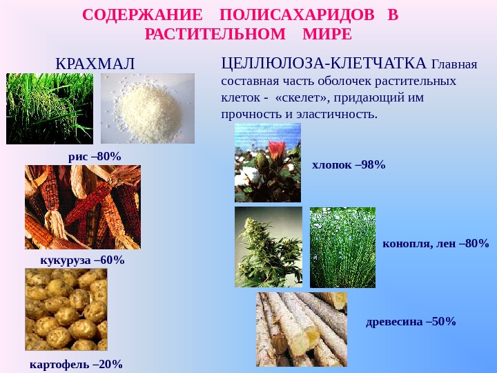 Крахмал и целлюлоза презентация