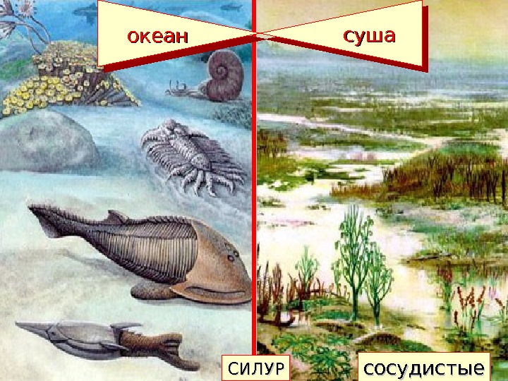 Геологическая эволюция презентация