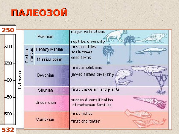 Палеозой 5 букв