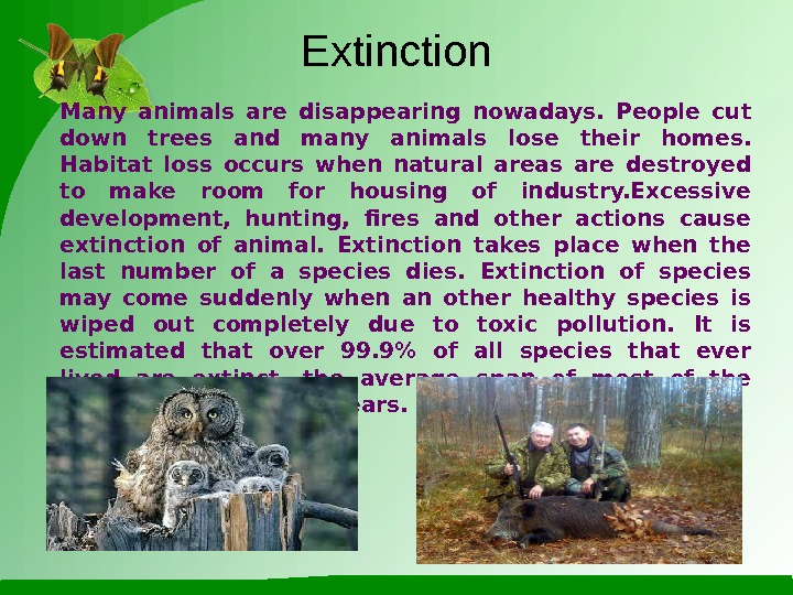 Disappearing animals. Animal Extinction презентация. Extinction of species. Animals are in Danger of Extinction. Extinction presentation.