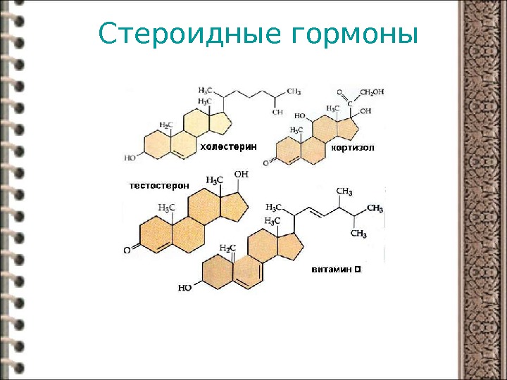 Схема стероидных гормонов