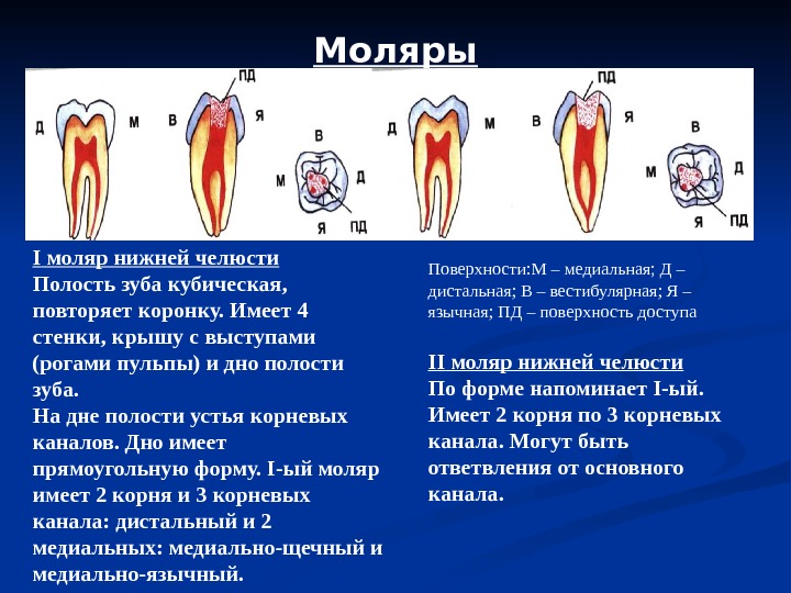 Повторное эндодонтическое лечение презентация