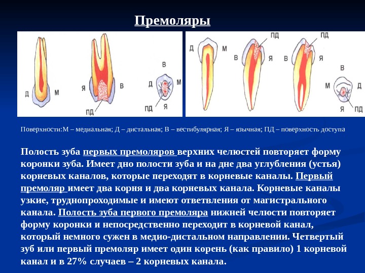 Повторное эндодонтическое лечение презентация