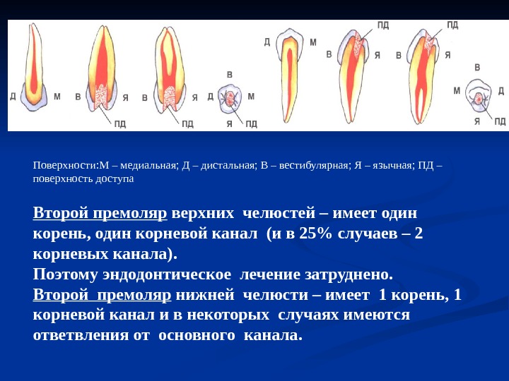 Повторное эндодонтическое лечение презентация