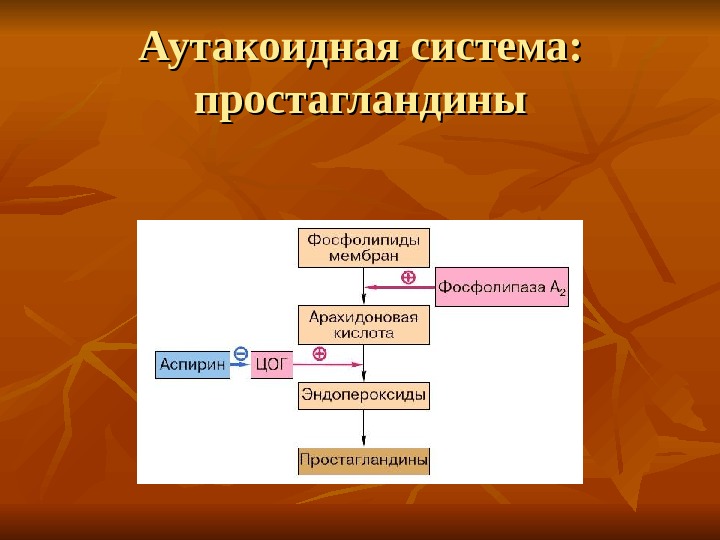 Простагландины схема синтеза