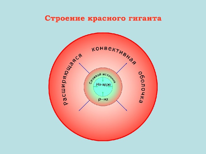 Строение красные. Внутреннее строение красного сверхгиганта. Строение красных гигантов. Строение красного гиганта. Внутреннее строение красного гиганта.