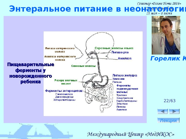 Энтеральное питание что это