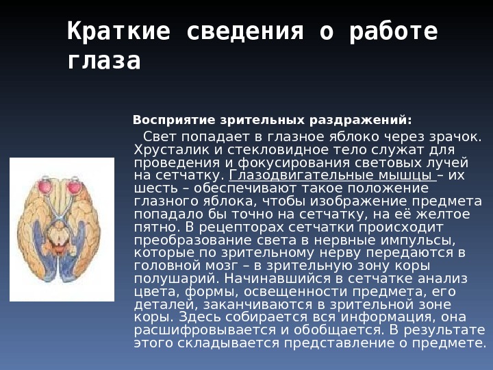 Служил организмом. Краткие сведения о работе глаза. Восприятие зрительных раздражений. Восприятие зрительных раздражений кратко. Восприятие зрительных раздражений схема.