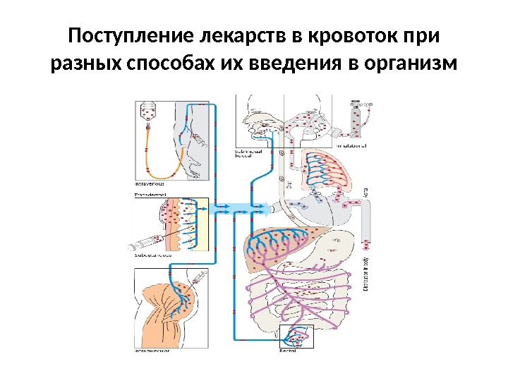 Пути и способы введения лекарственных средств схема