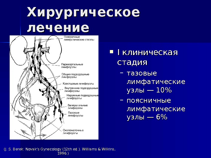 Подвздошные лимфоузлы где находятся у женщин фото расположение