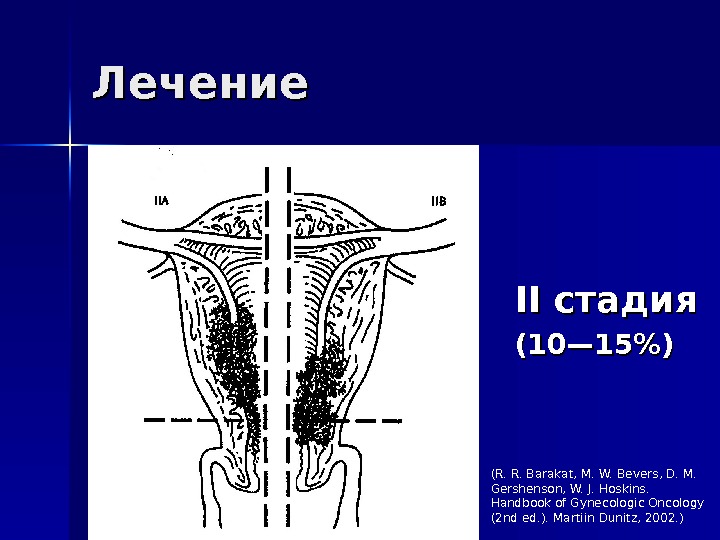 Половой орган женского пола. Название женских органов в гинекологии. Половые органы названия. Анатомия женских органов гинекология внешние. Смежные органы в гинекологии.