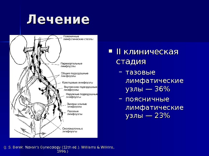 Тазовые лимфоузлы фото