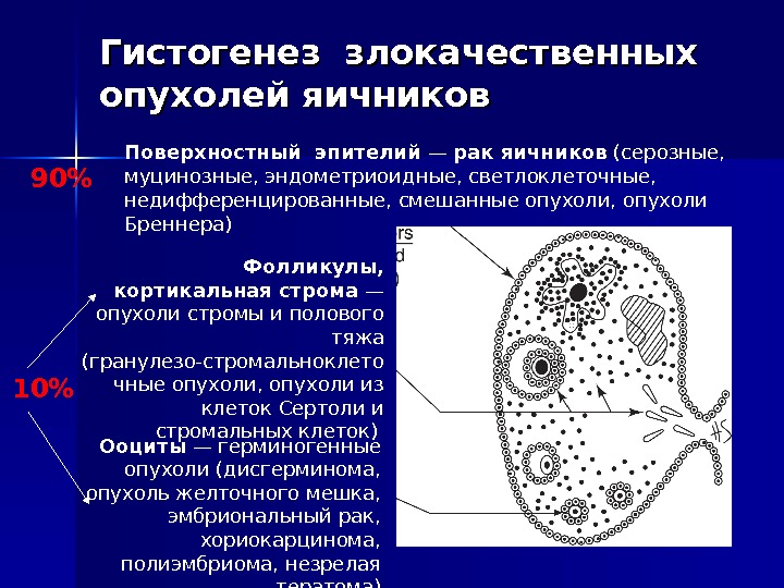 Гистогенез