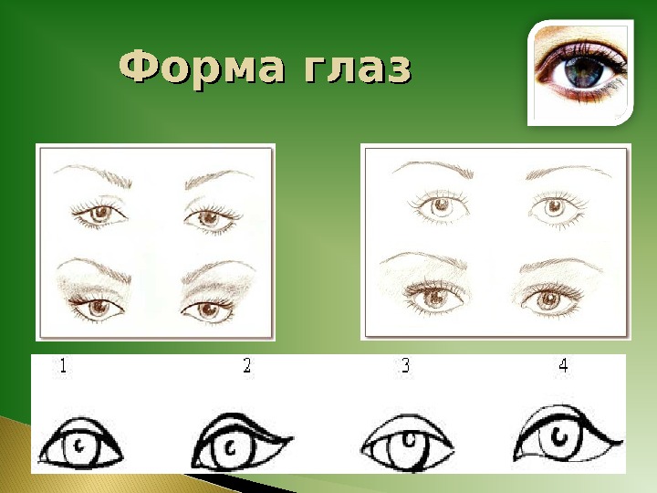 Физиогномика. Фейс чарт глаза формы. Значение формы глаз. Разрез глаза виды. Разрез глаза человека и характер.