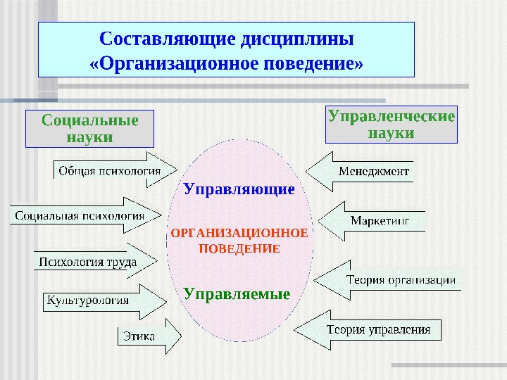 Модели организационного поведения презентация