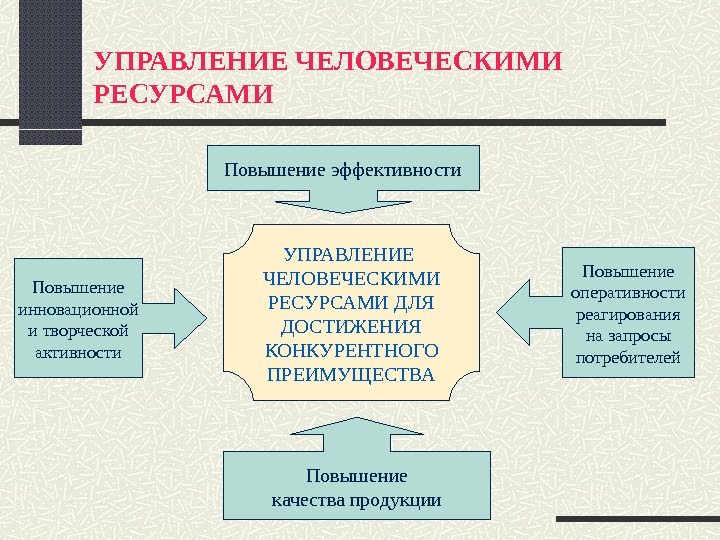 Человеческие ресурсы проекта это