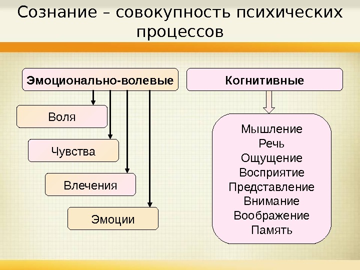 Память мышление речь презентация