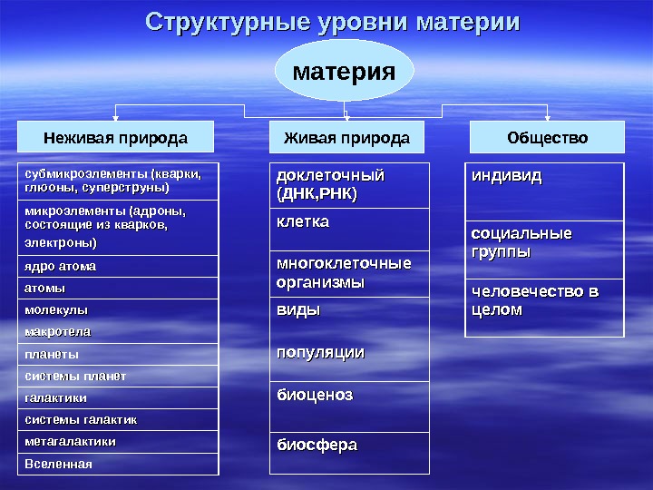 Основные виды бытия природное социальное духовное компьютерное