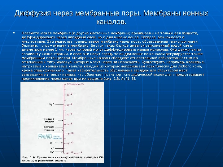 Мембрана поры