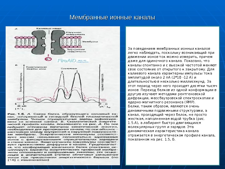 Каналы мембраны. Мембранные каналы физиология. Мембранные ионные каналы. Ионные каналы физиология определение. Мембранные ионные каналы физиология.