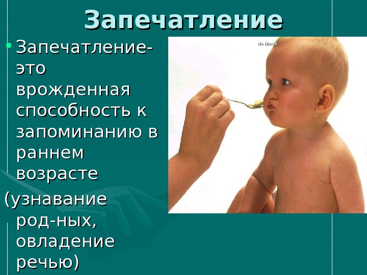 Запечатление. Врождённая способность к запоминанию в раннем возрасте это. Врожденные способности. Запечатление это в биологии.